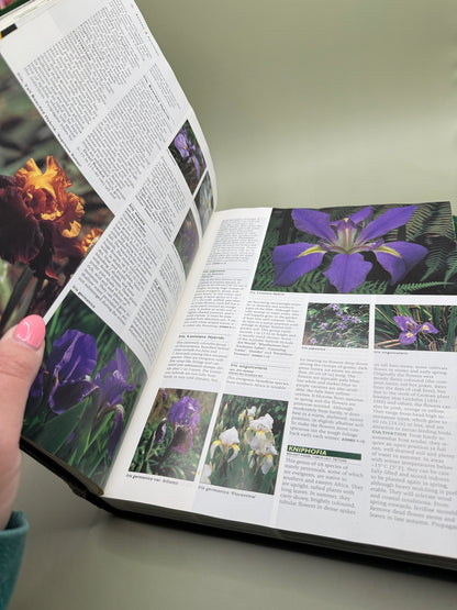 New Zealand Gardening Encyclopedia