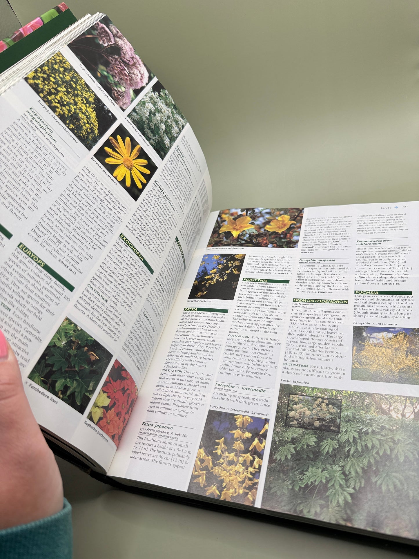 New Zealand Gardening Encyclopedia