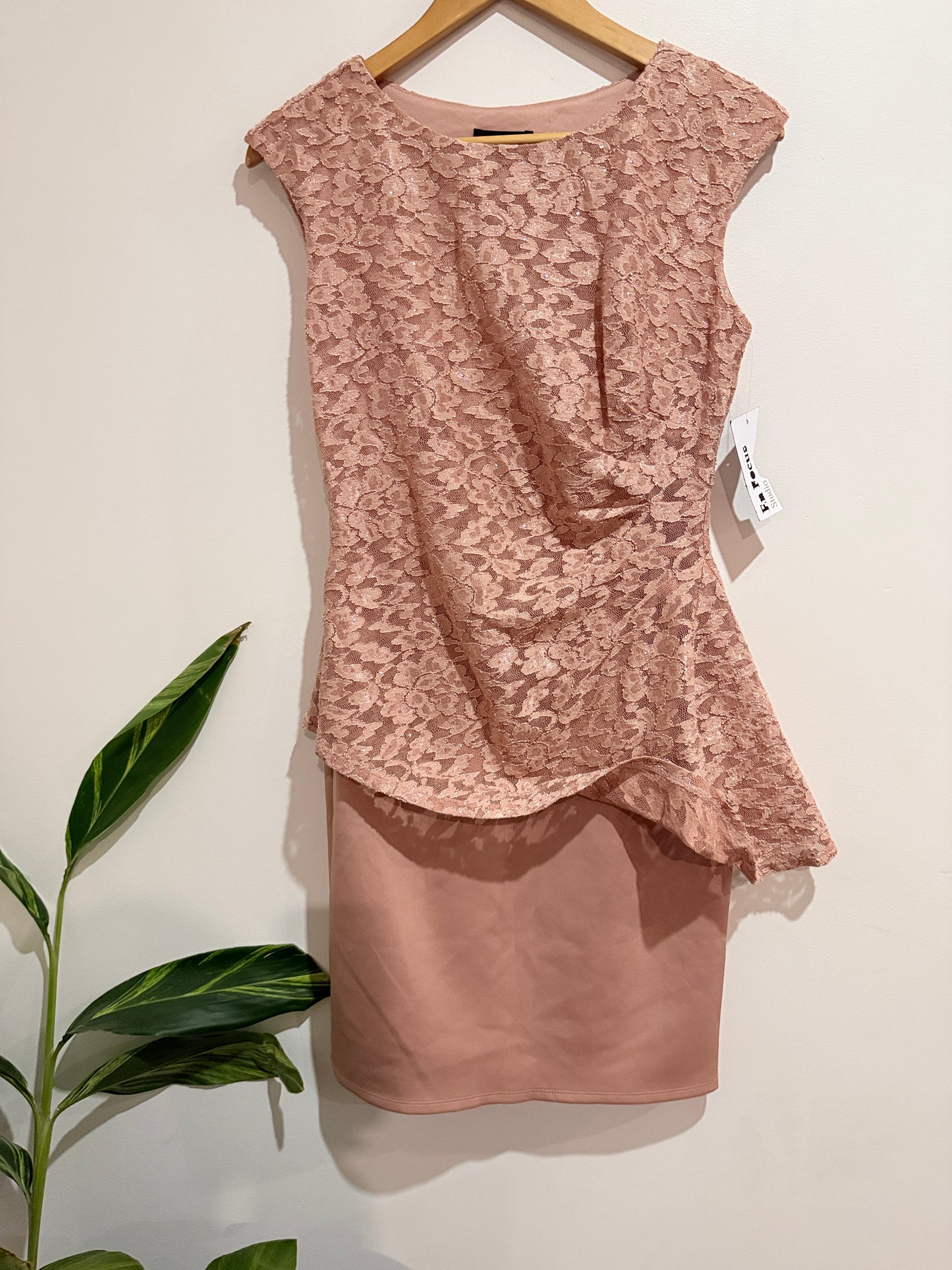 Enfocus Studio Blush Pink Lace Peplum Cocktail Dress Size 6