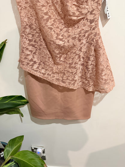 Enfocus Studio Blush Pink Lace Peplum Cocktail Dress Size 6