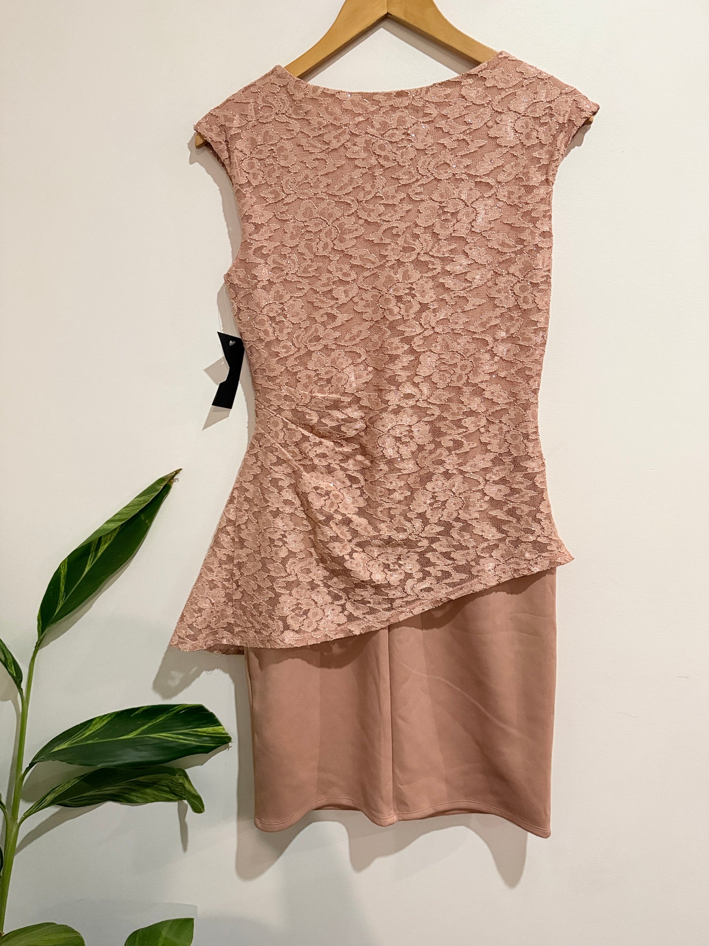 Enfocus Studio Blush Pink Lace Peplum Cocktail Dress Size 6