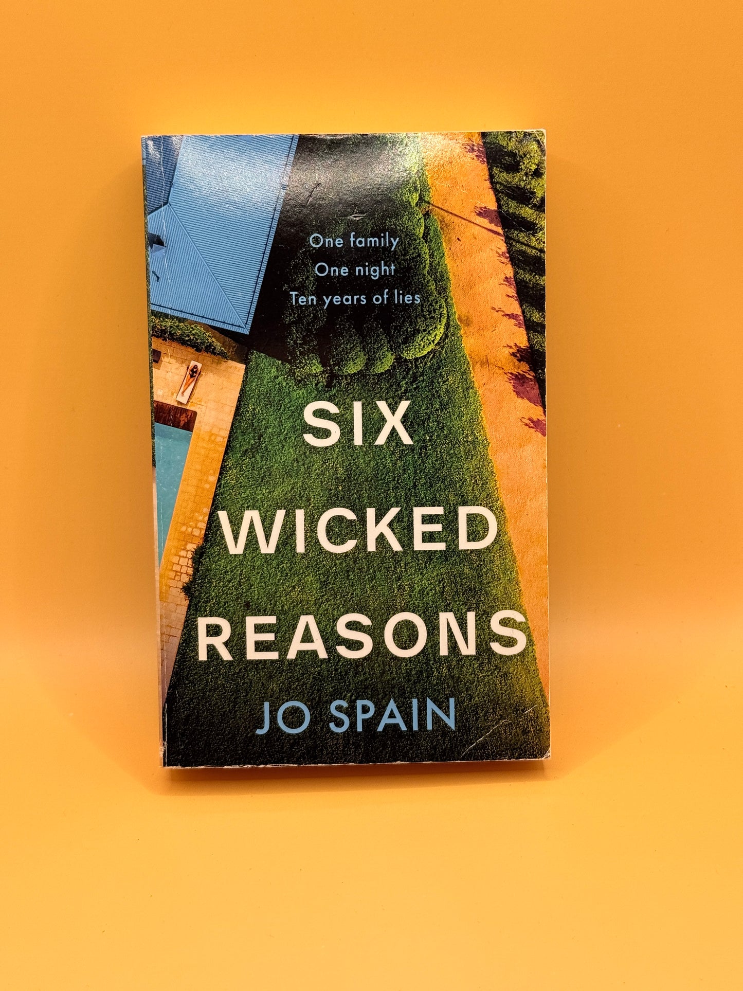 Six Wicked Reasons by Jo Spain
