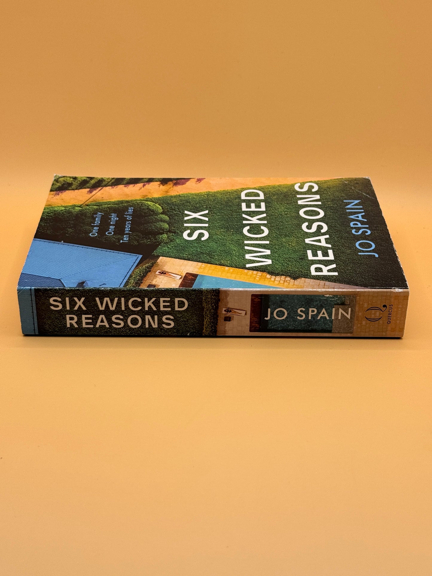 Six Wicked Reasons by Jo Spain