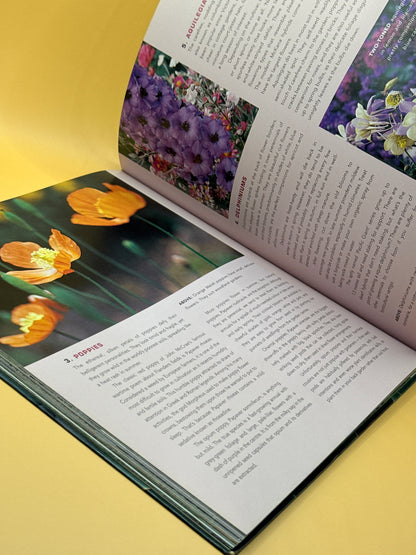 New Zealand Garden in Style by Lynda Hallinan