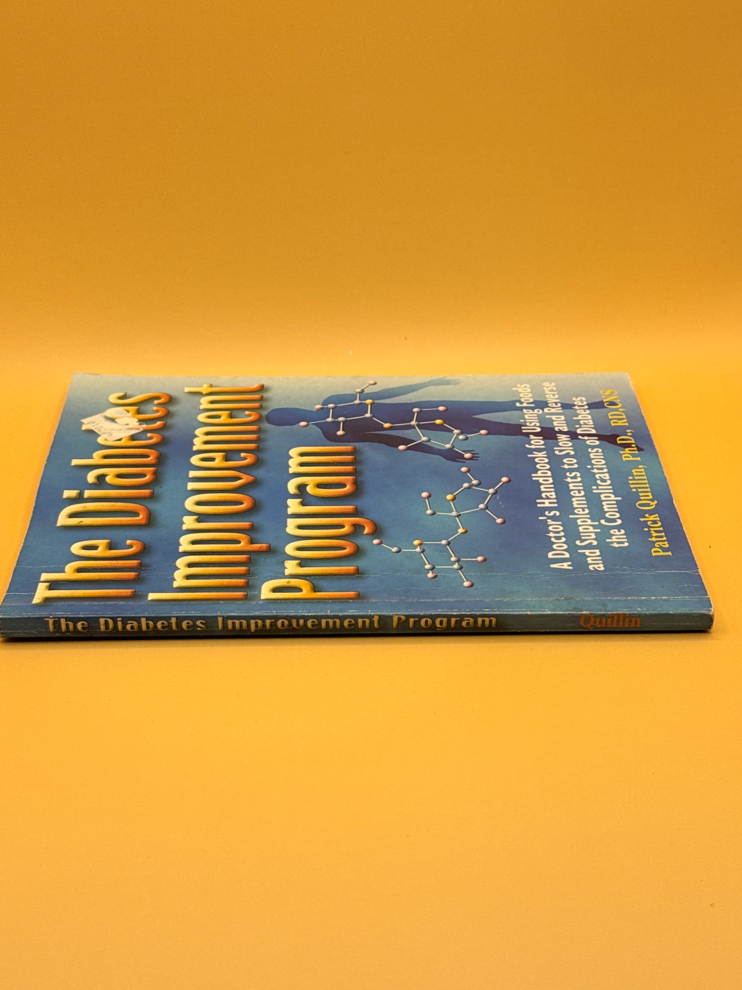 The Diabetes Improvement Program by Patrick Quillin