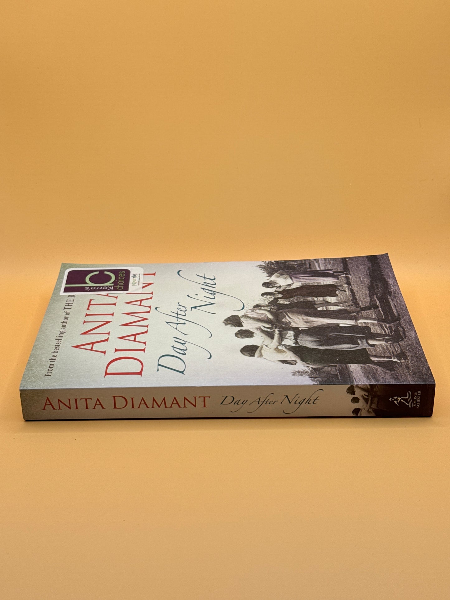 Day After Night: A Novel by Anita Diamant