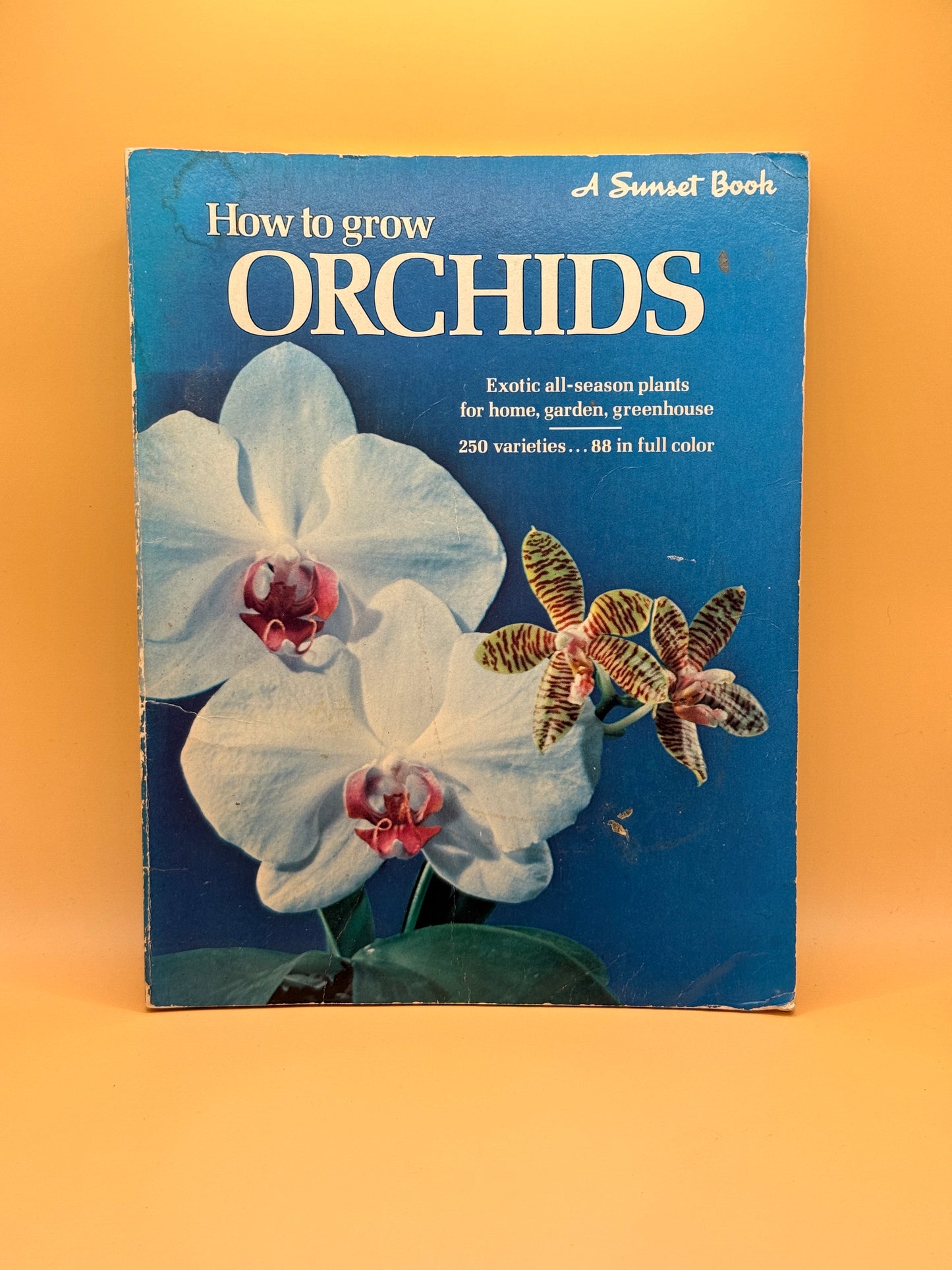 How to grow orchids (A Sunset book) by Jack Kramer