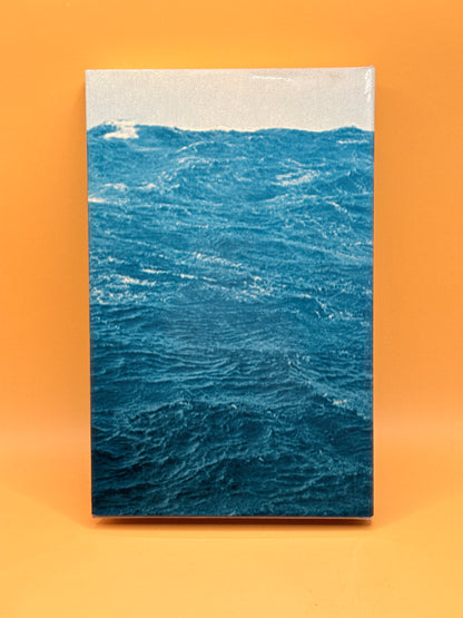Survive the Savage Sea by Dougal Robertson (1973)