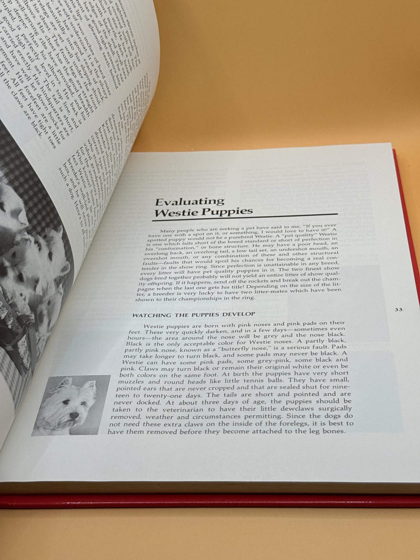 Westies: From Head to Tail by Ruth Faherty