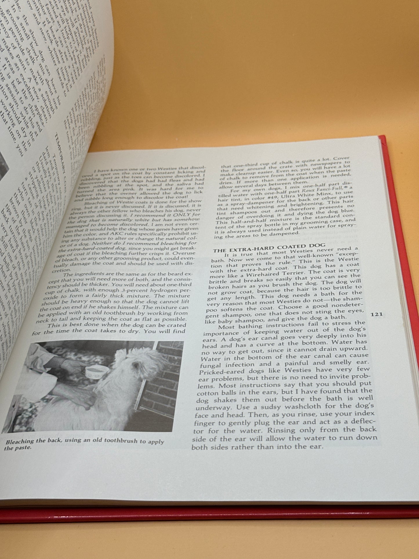 Westies: From Head to Tail by Ruth Faherty