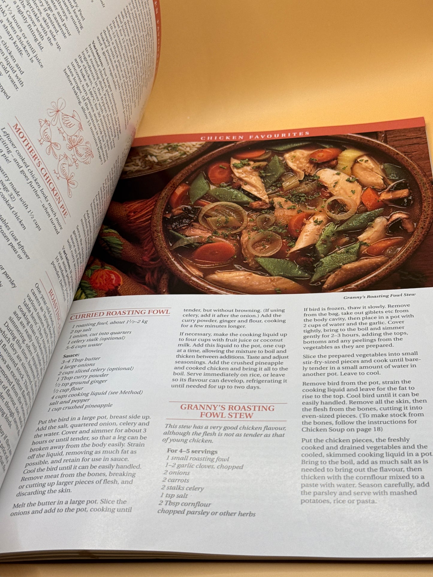 Alison Holst's Dollars and Sense Cookbook