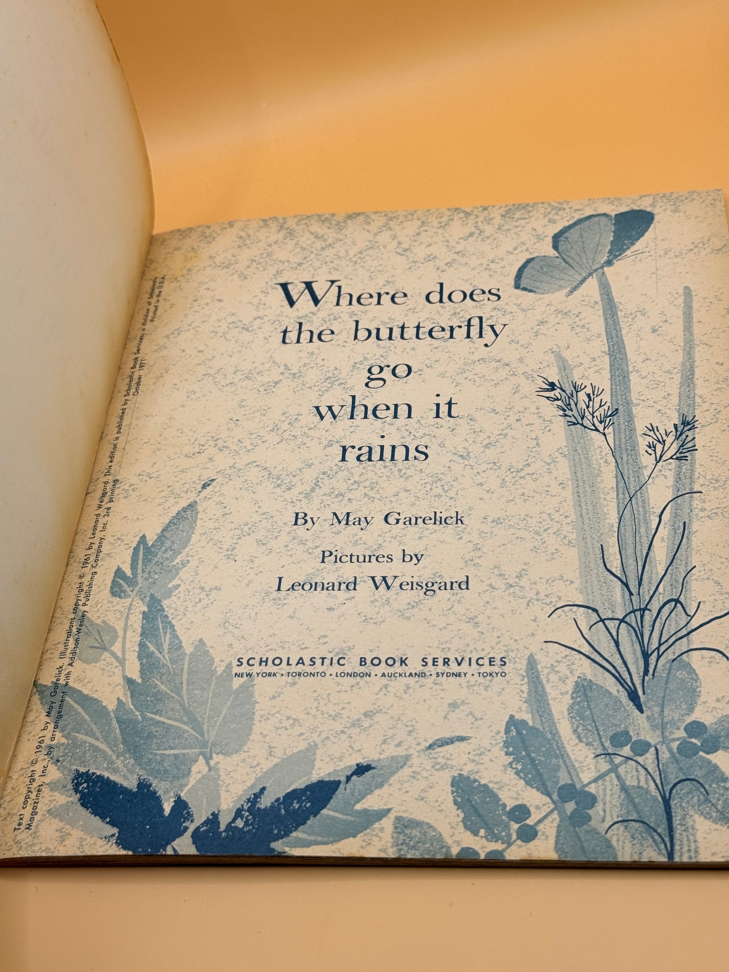 Where Does the Butterfly Go When It Rains by May Garelick (1961)