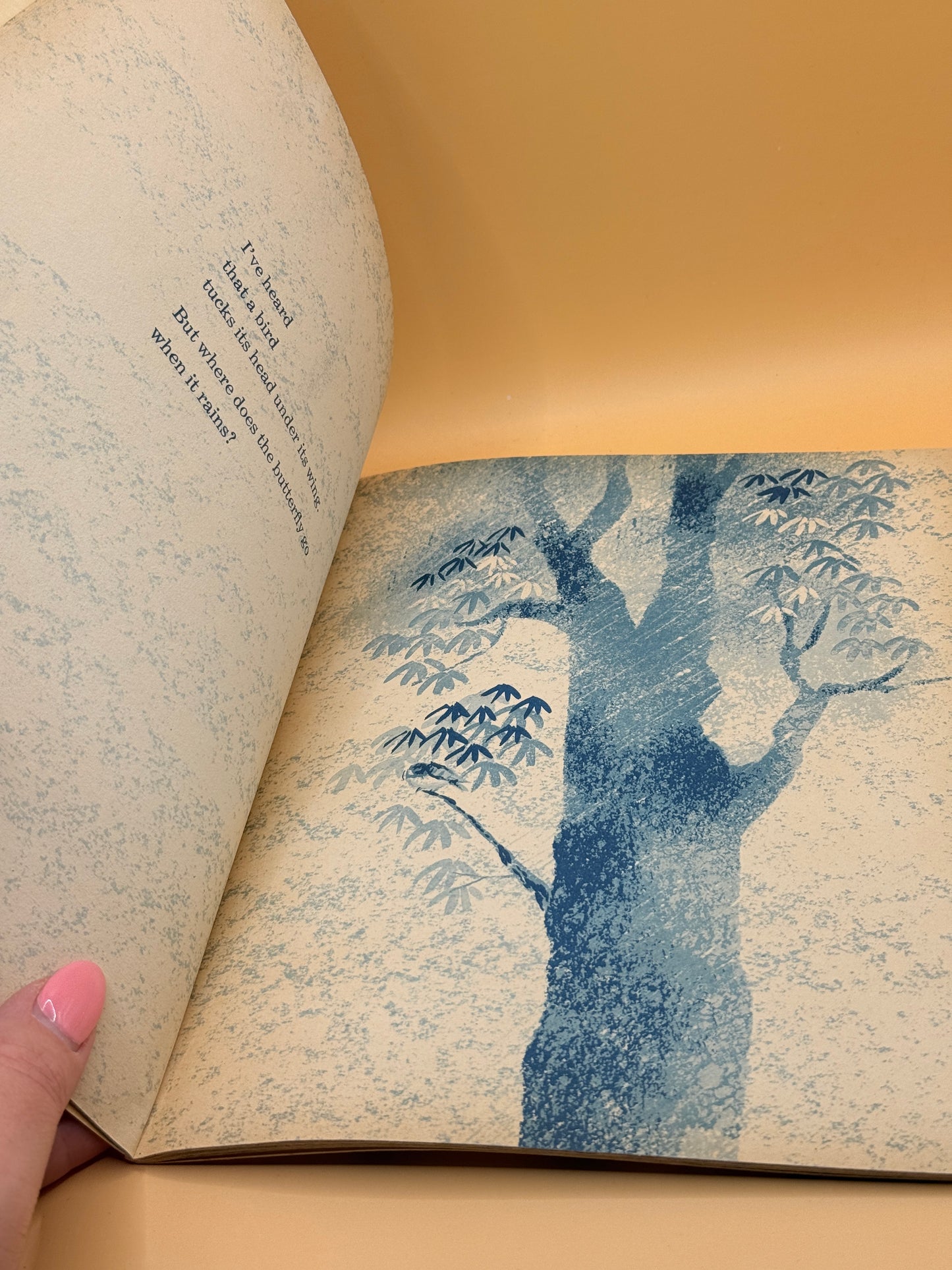 Where Does the Butterfly Go When It Rains by May Garelick (1961)