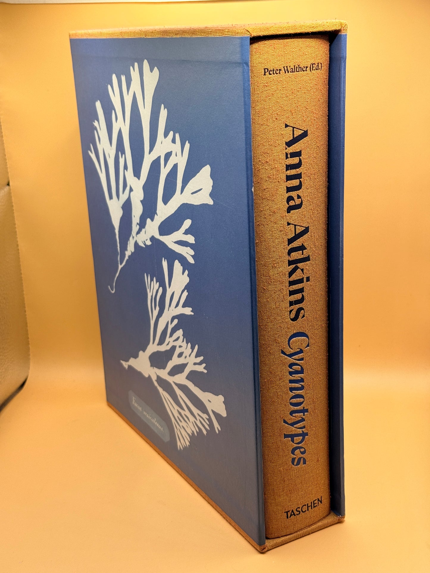 Anna Atkins Cyanotypes by Peter Walther