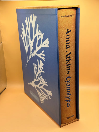 Anna Atkins Cyanotypes by Peter Walther
