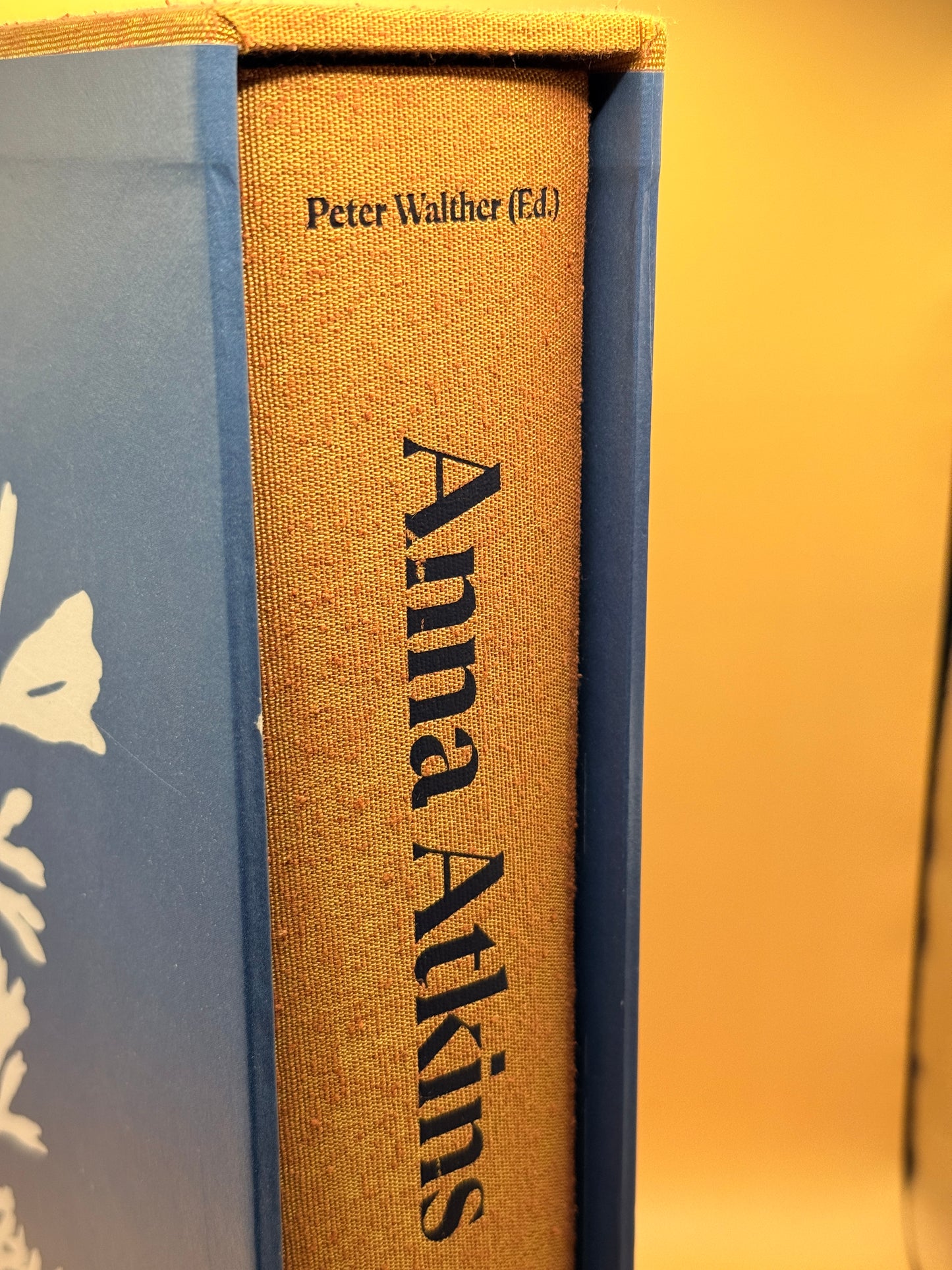 Anna Atkins Cyanotypes by Peter Walther