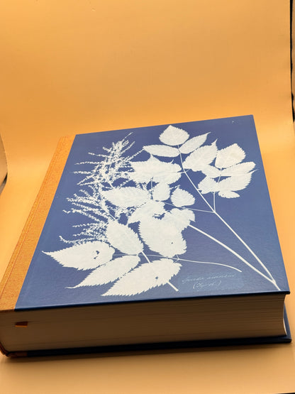 Anna Atkins Cyanotypes by Peter Walther
