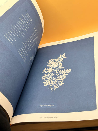 Anna Atkins Cyanotypes by Peter Walther