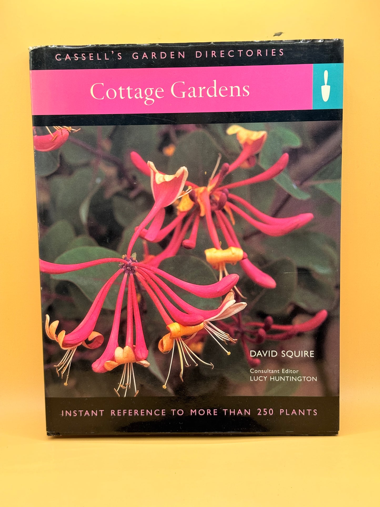 Cottage Gardens by David Squire