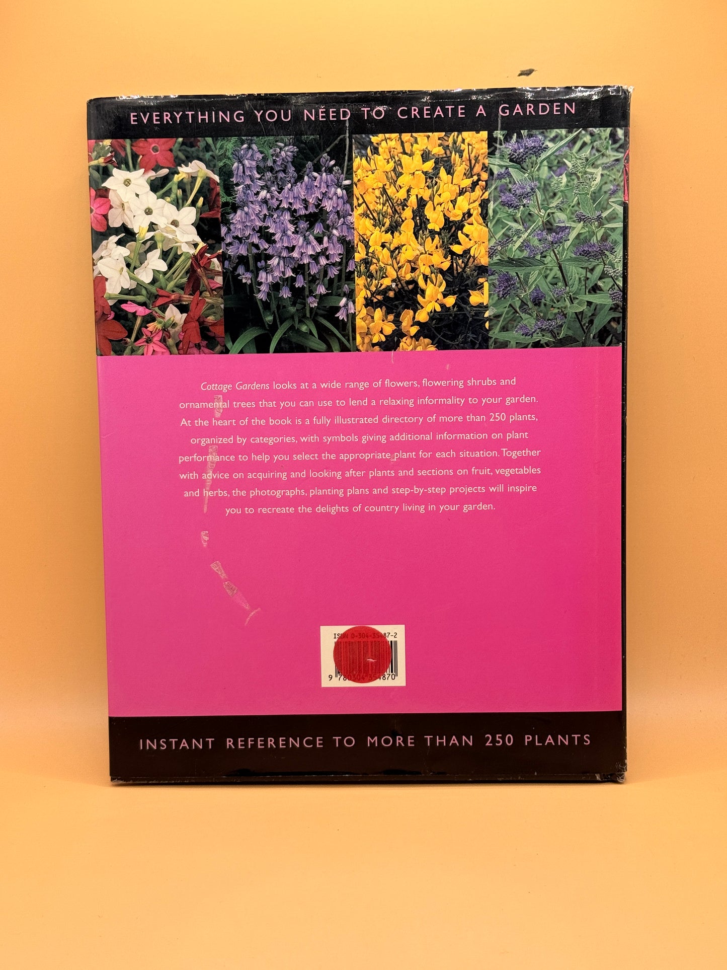 Cottage Gardens by David Squire