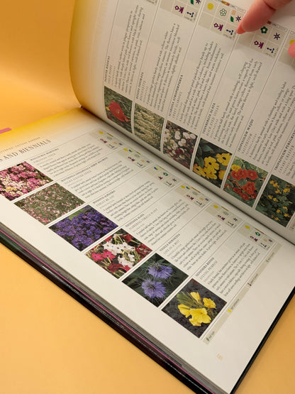 Cottage Gardens by David Squire