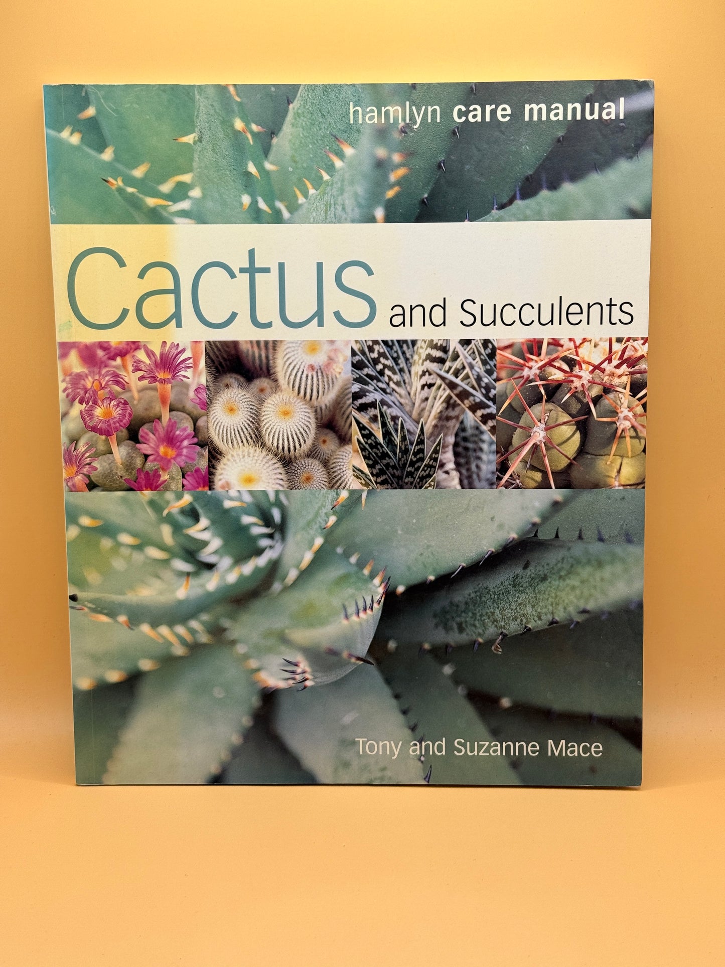 Cactus and Succulents by Tony and Suzanne Mace