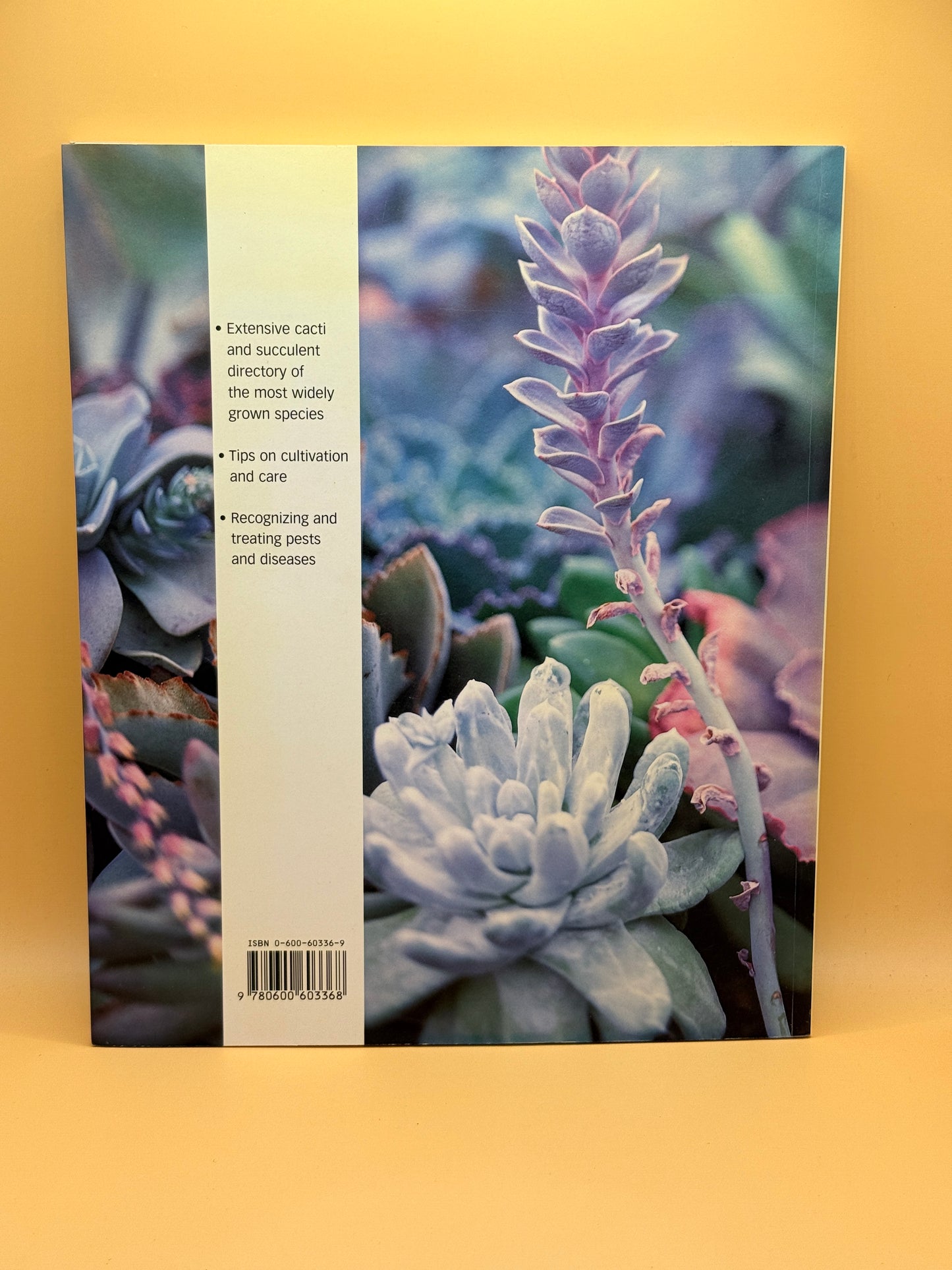 Cactus and Succulents by Tony and Suzanne Mace
