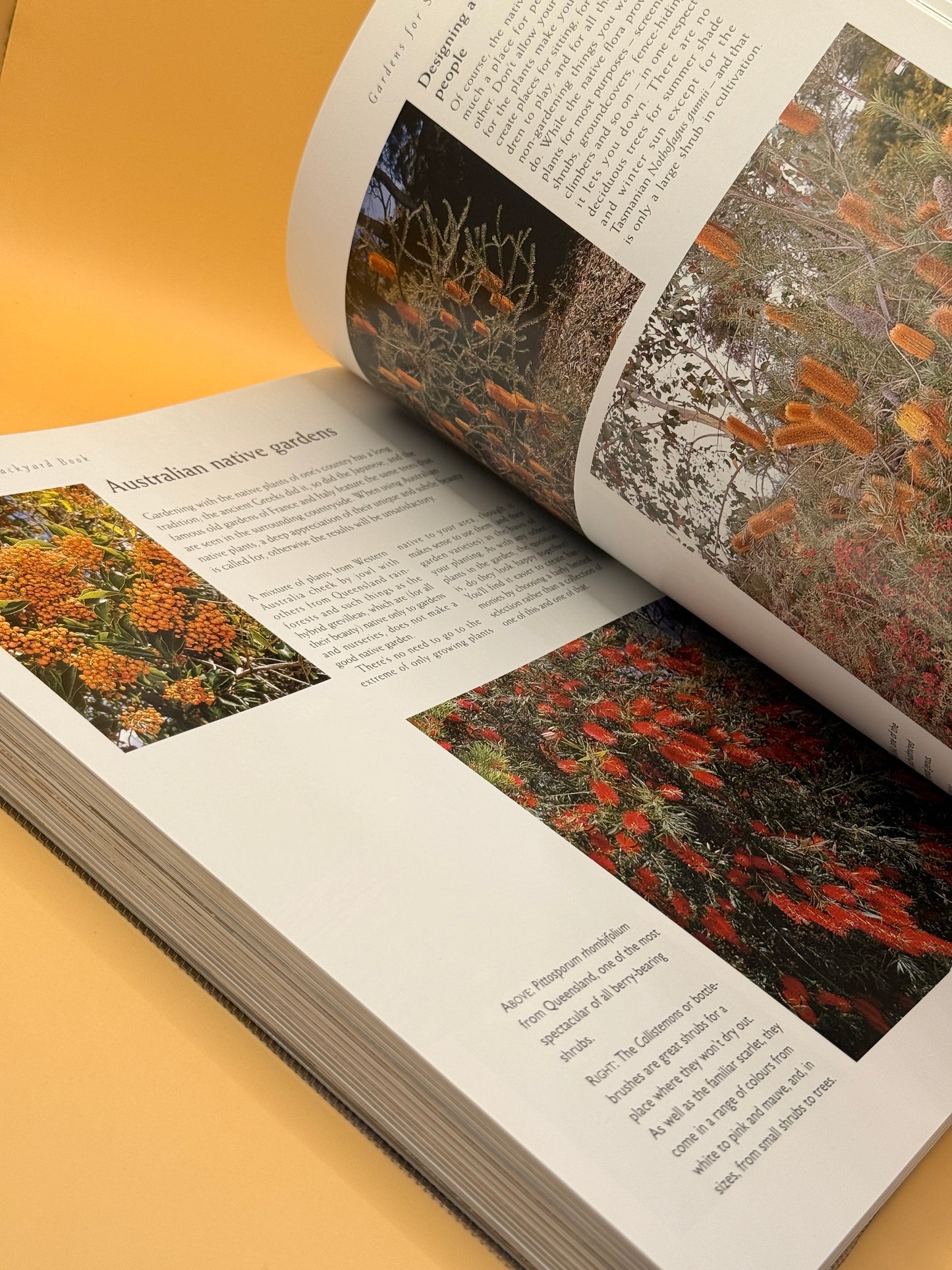 The Complete Backyard Book by Better Homes and Gardens