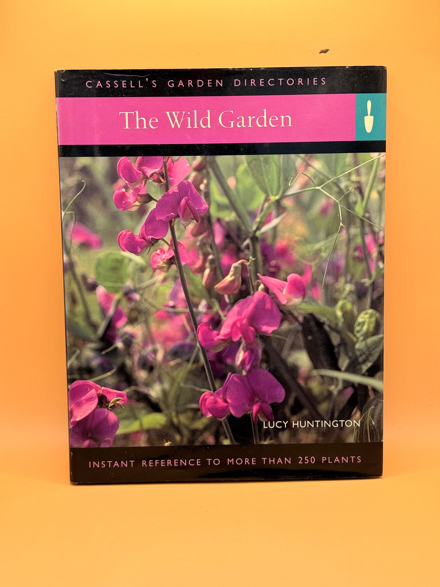The Wild Garden by Lucy Huntington