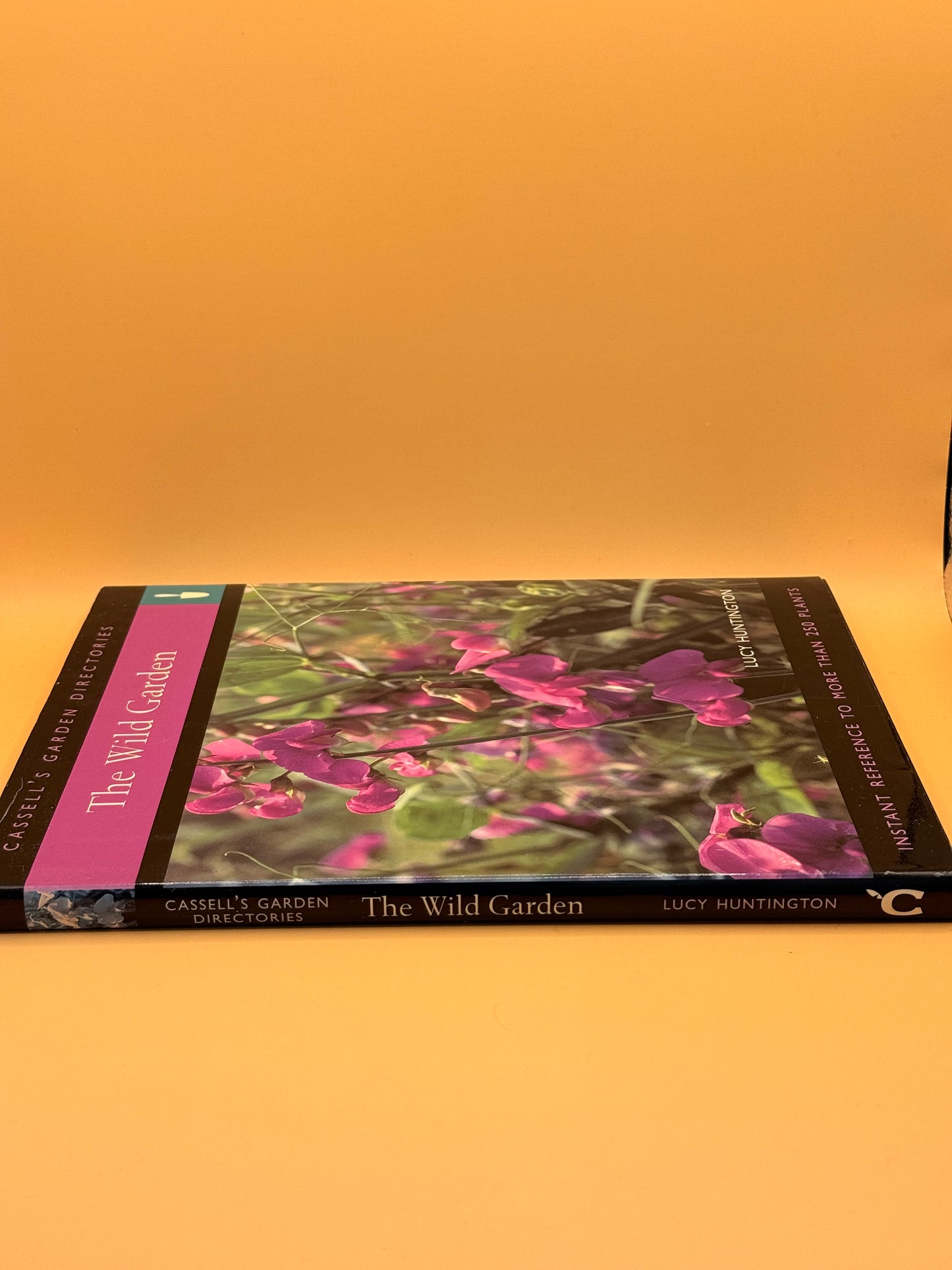 The Wild Garden by Lucy Huntington