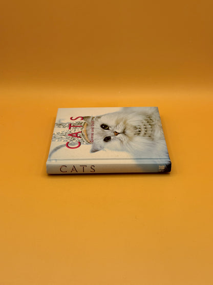 Cats: Quotes and Stuff