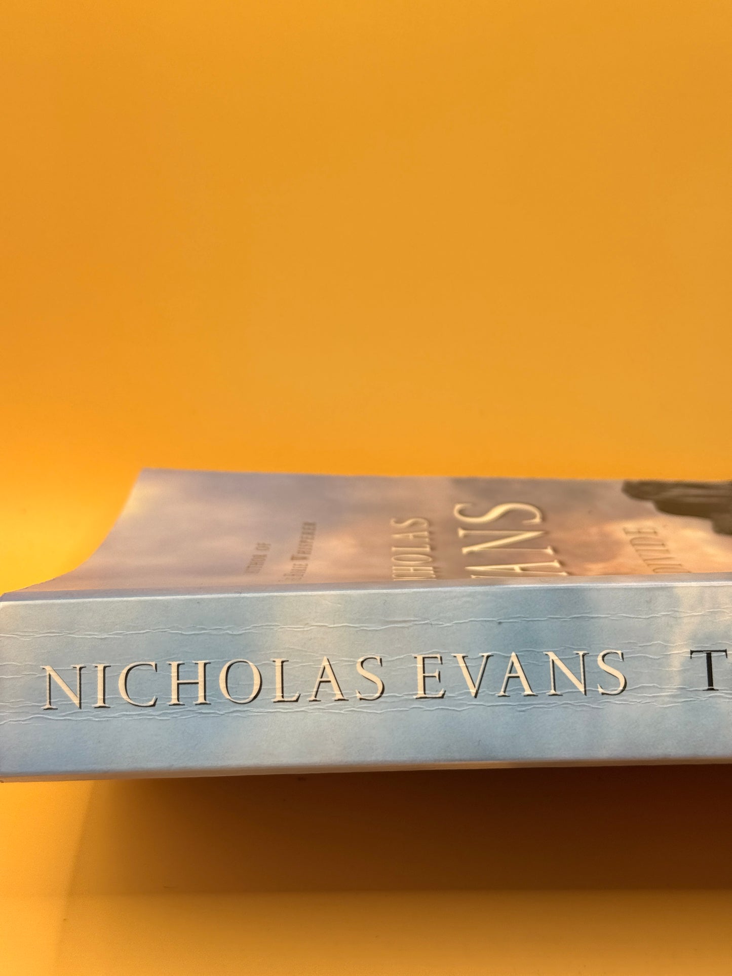 The Divide by Nicholas Evans
