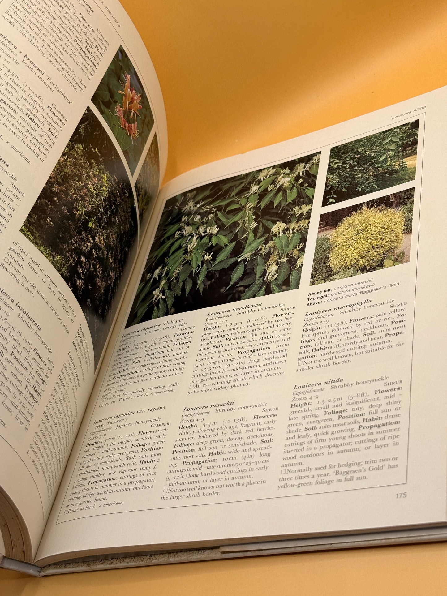 A Gardener's Guide to Plant Selection by Hugh Williams