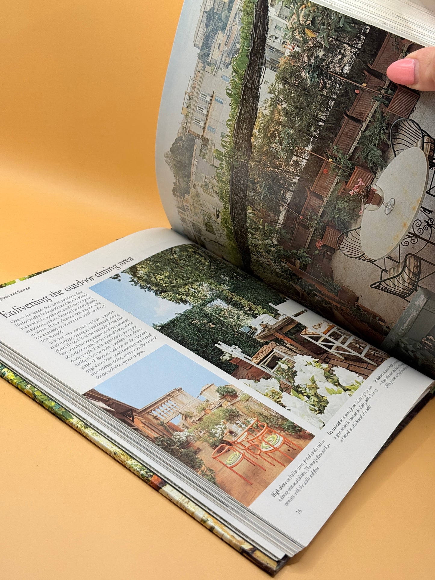 Practical Guide to Home Landscaping by Reader's Digest