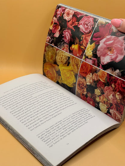 Through the Rose Arbour by Rosemary Houseman