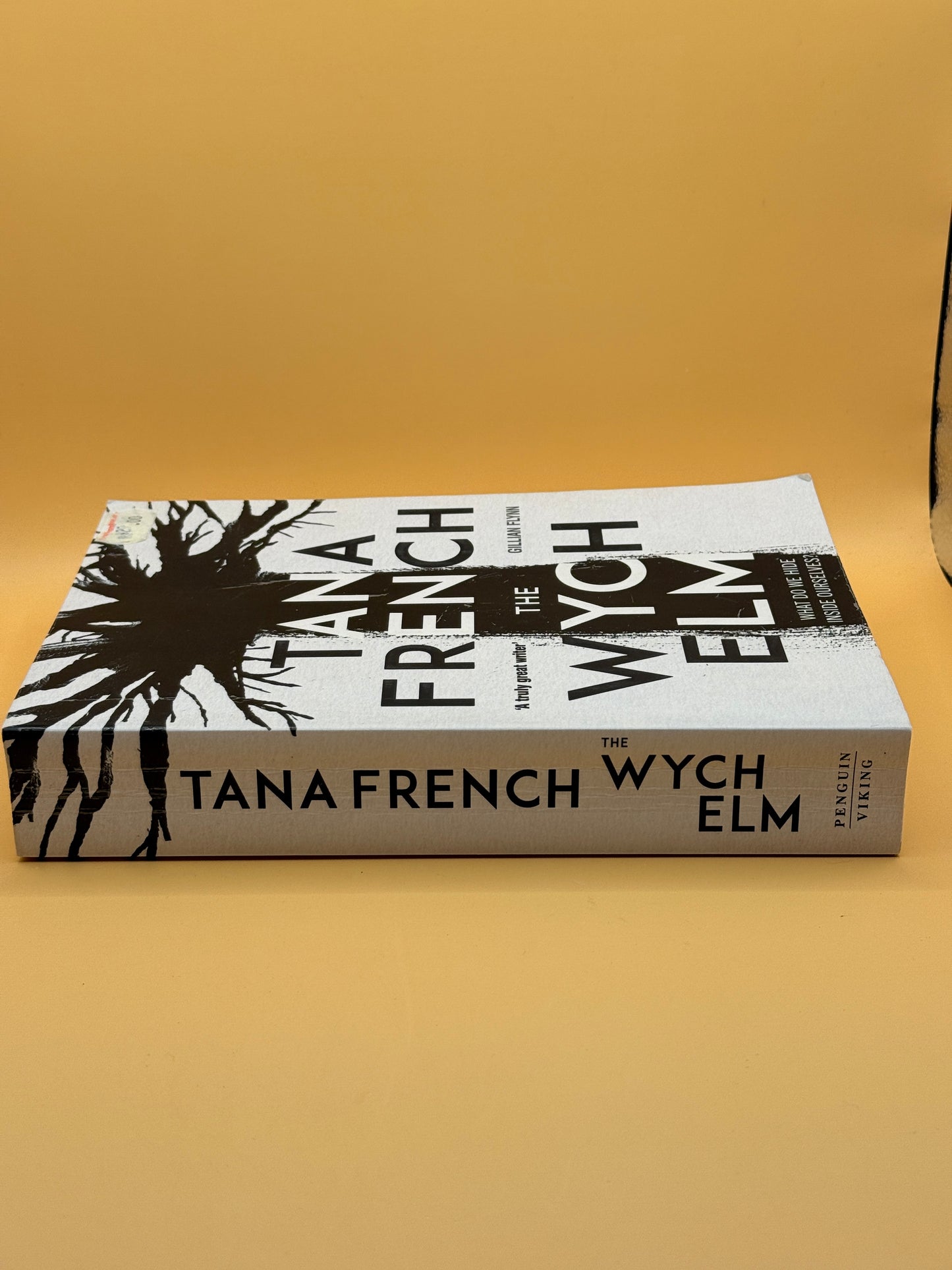 The Witch Elm by Tana French
