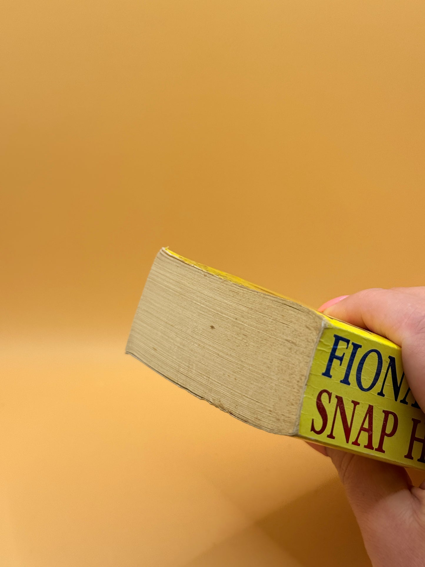 Snap Happy by Fiona Walker