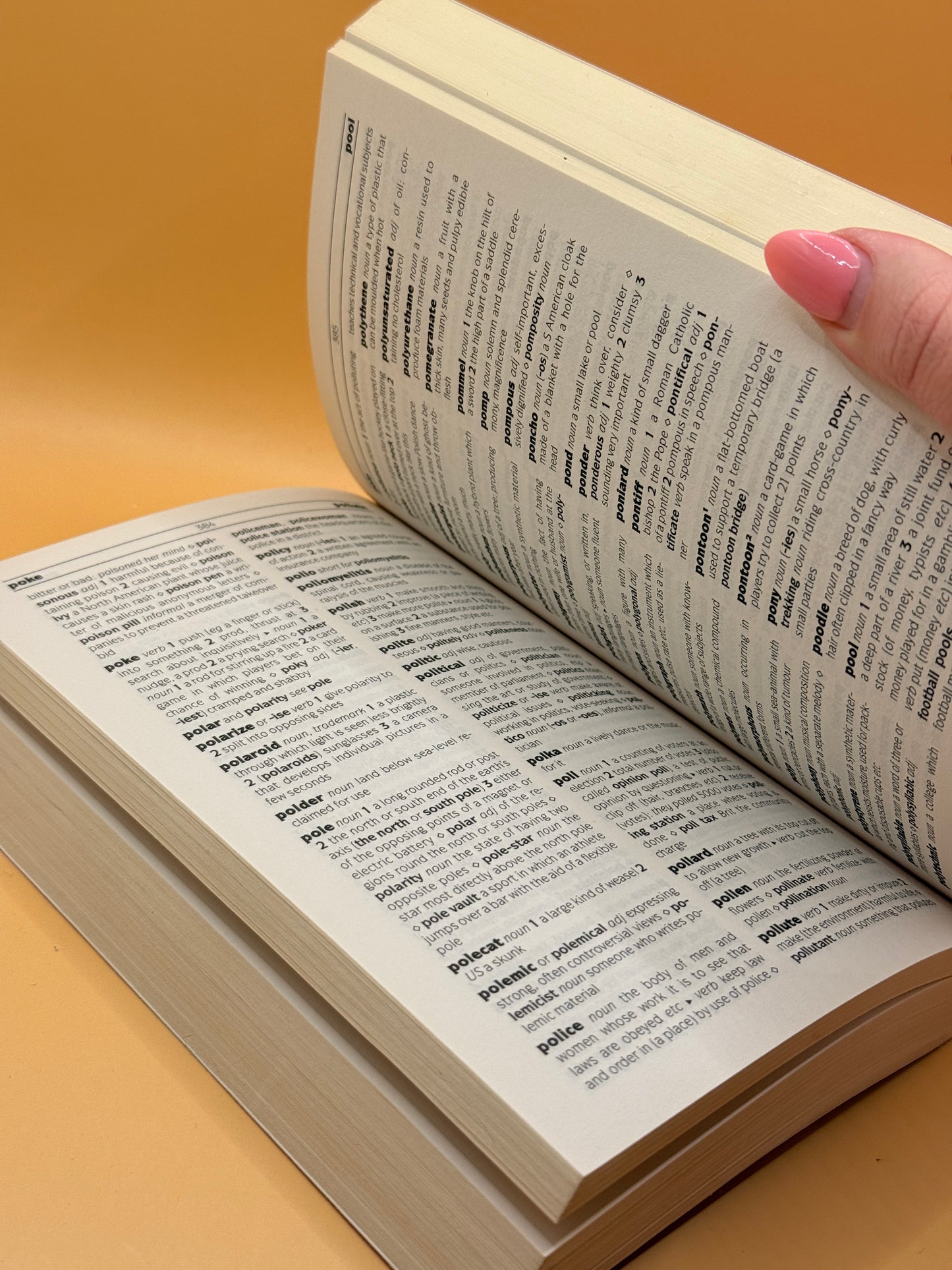 Chambers Paperback Dictionary
