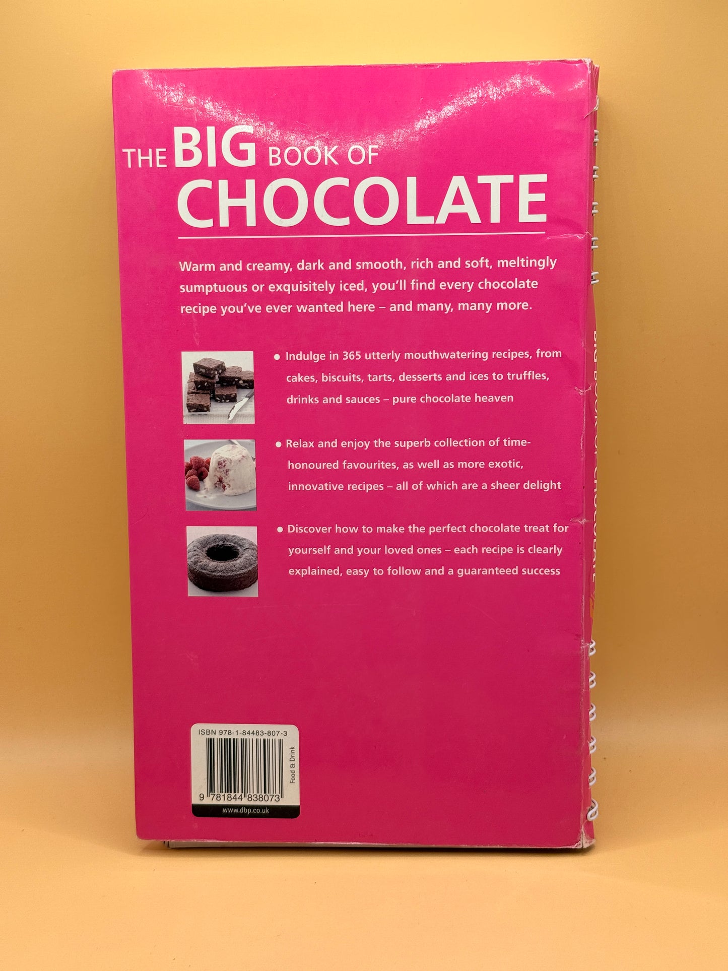 The Big Book of Chocolate by Jennifer Donovan