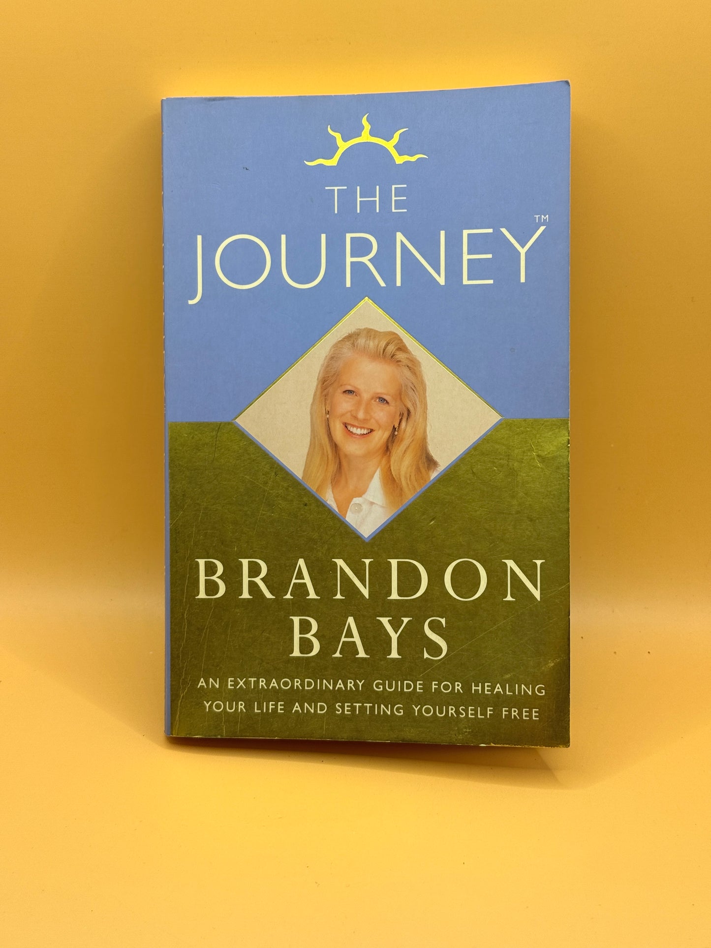 The Journey by Brandon Bays