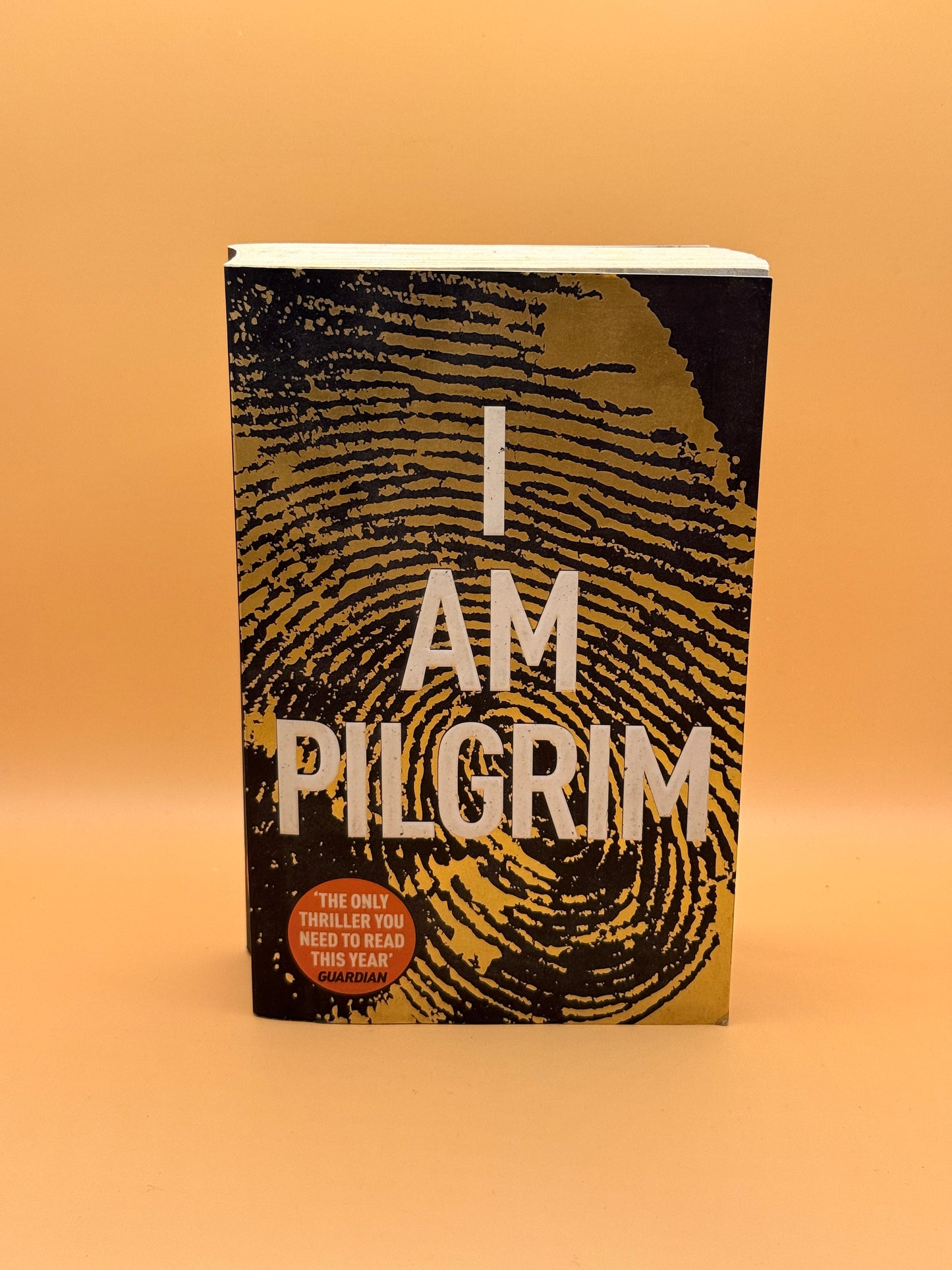 I Am Pilgrim by Terry Hayes