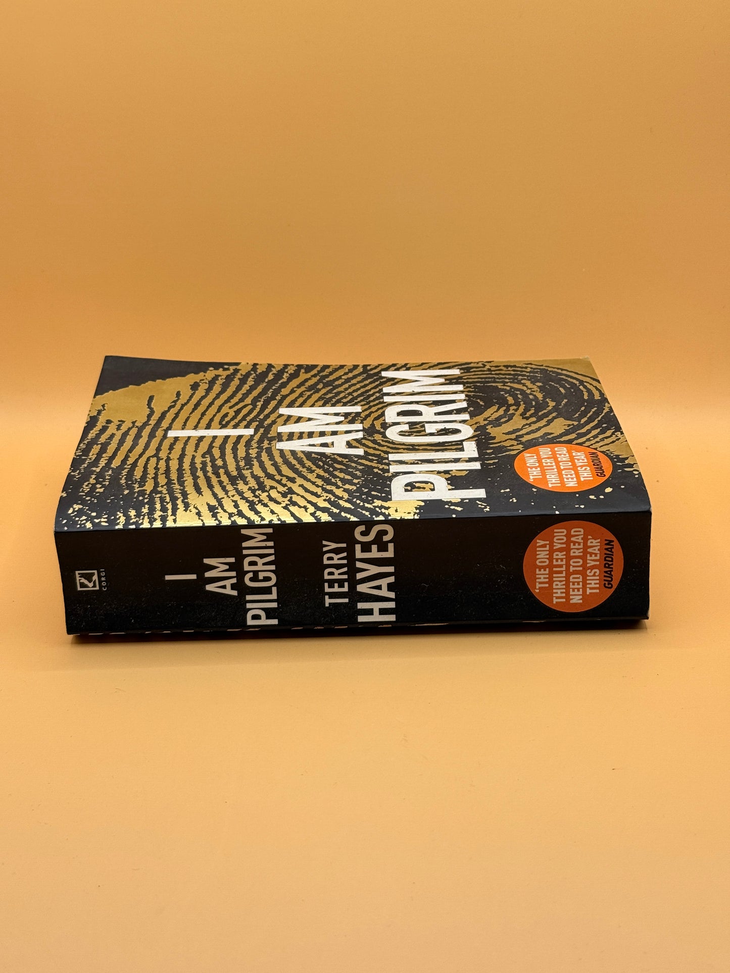 I Am Pilgrim by Terry Hayes