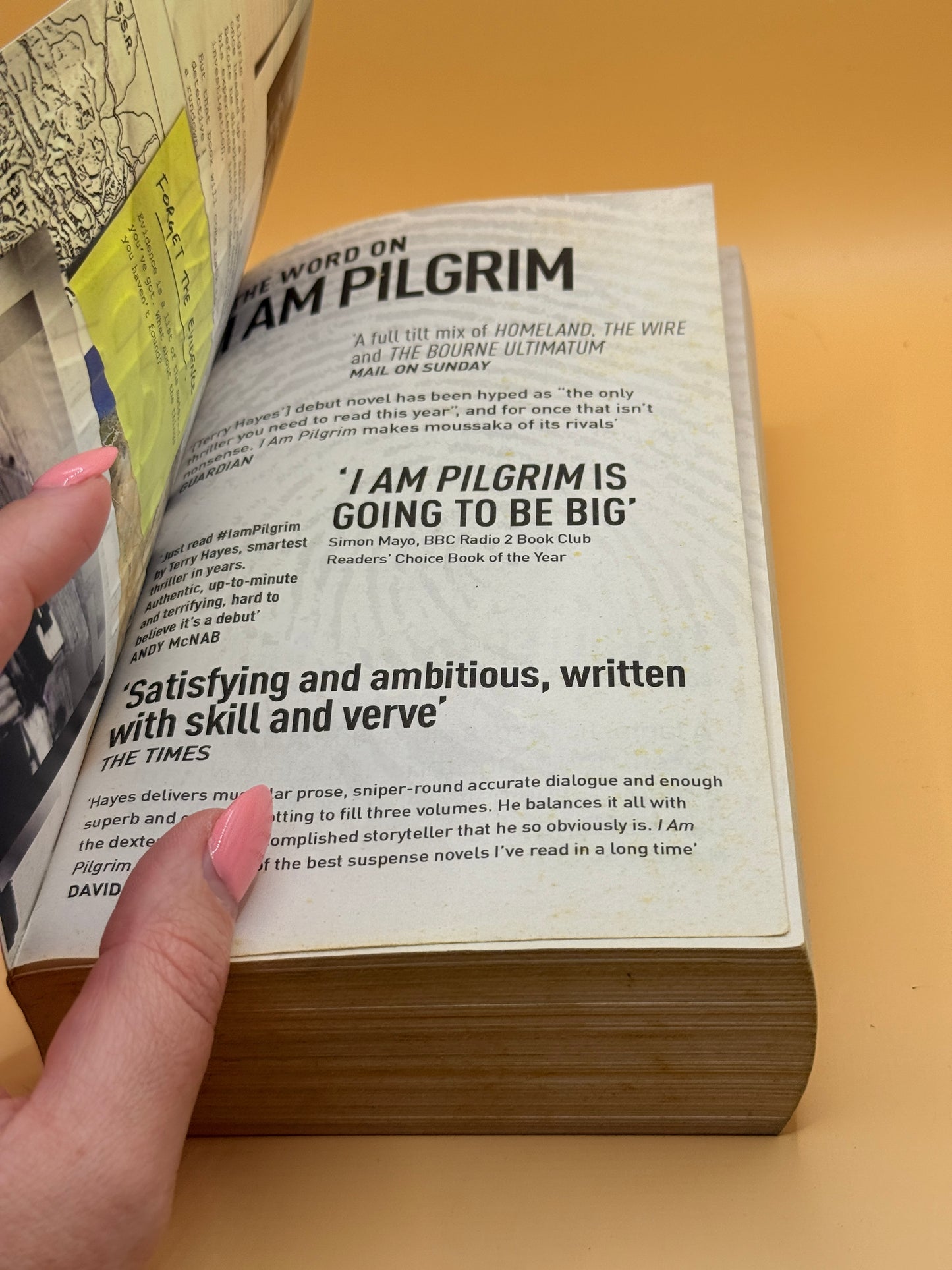 I Am Pilgrim by Terry Hayes