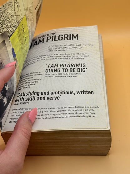 I Am Pilgrim by Terry Hayes