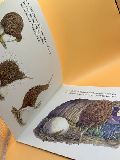 Koki the Kiwi by Michelle Osment