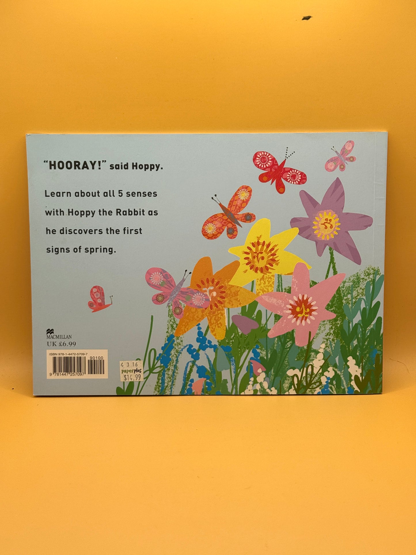 Hooray for Hoppy! by Tim Hopgood