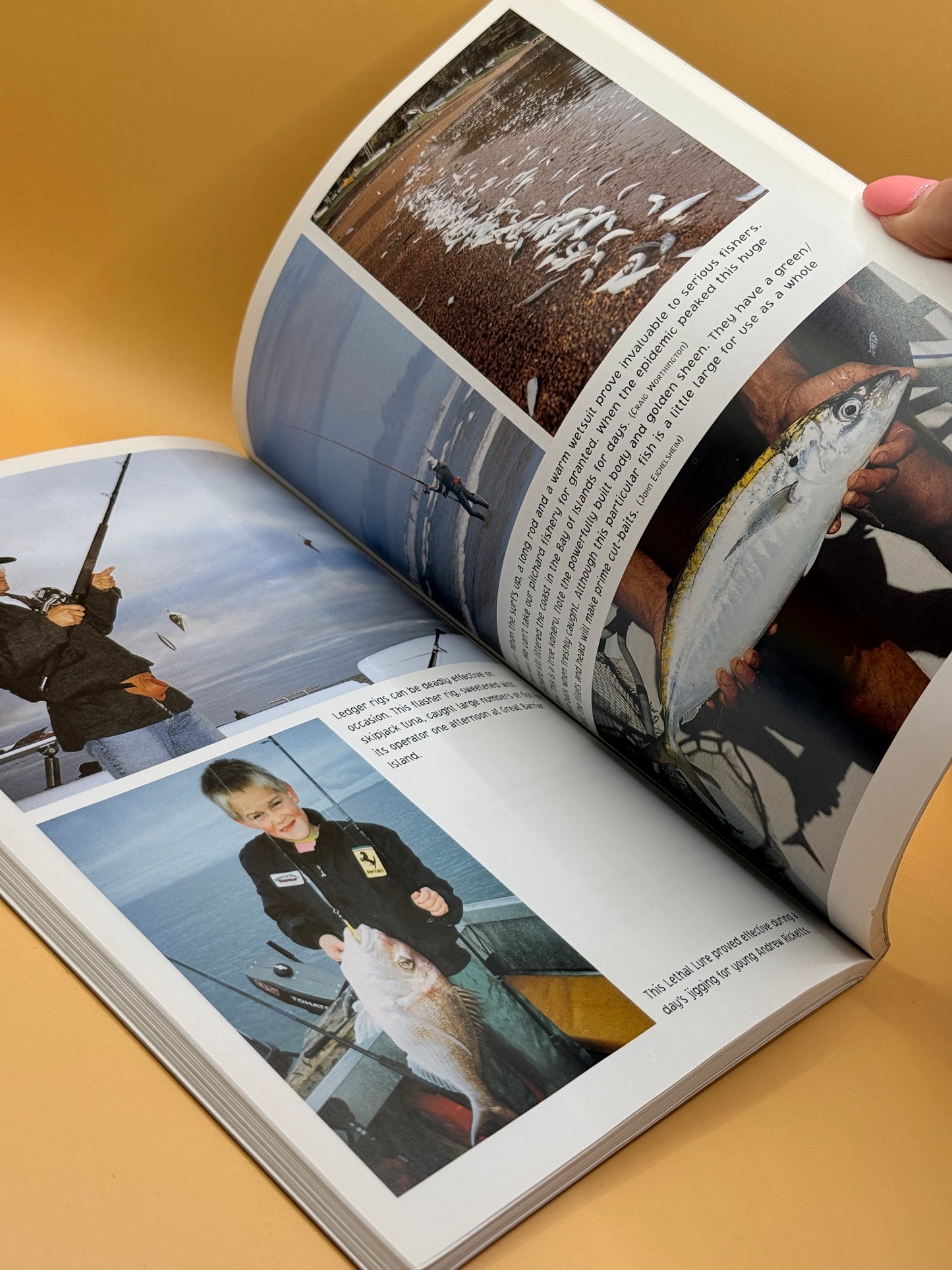 Hook Up on Snapper by Mark Kitteridge