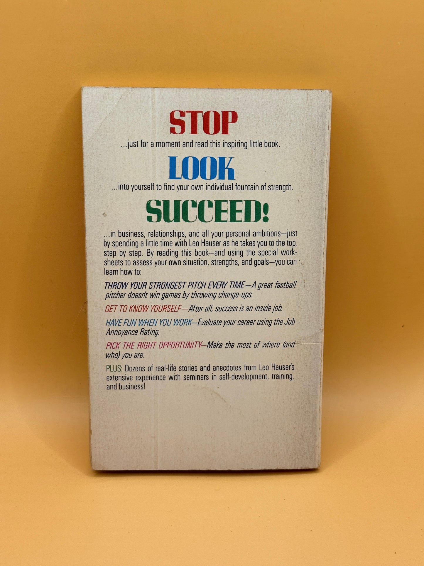 Five Steps to Success by Leo Hauser