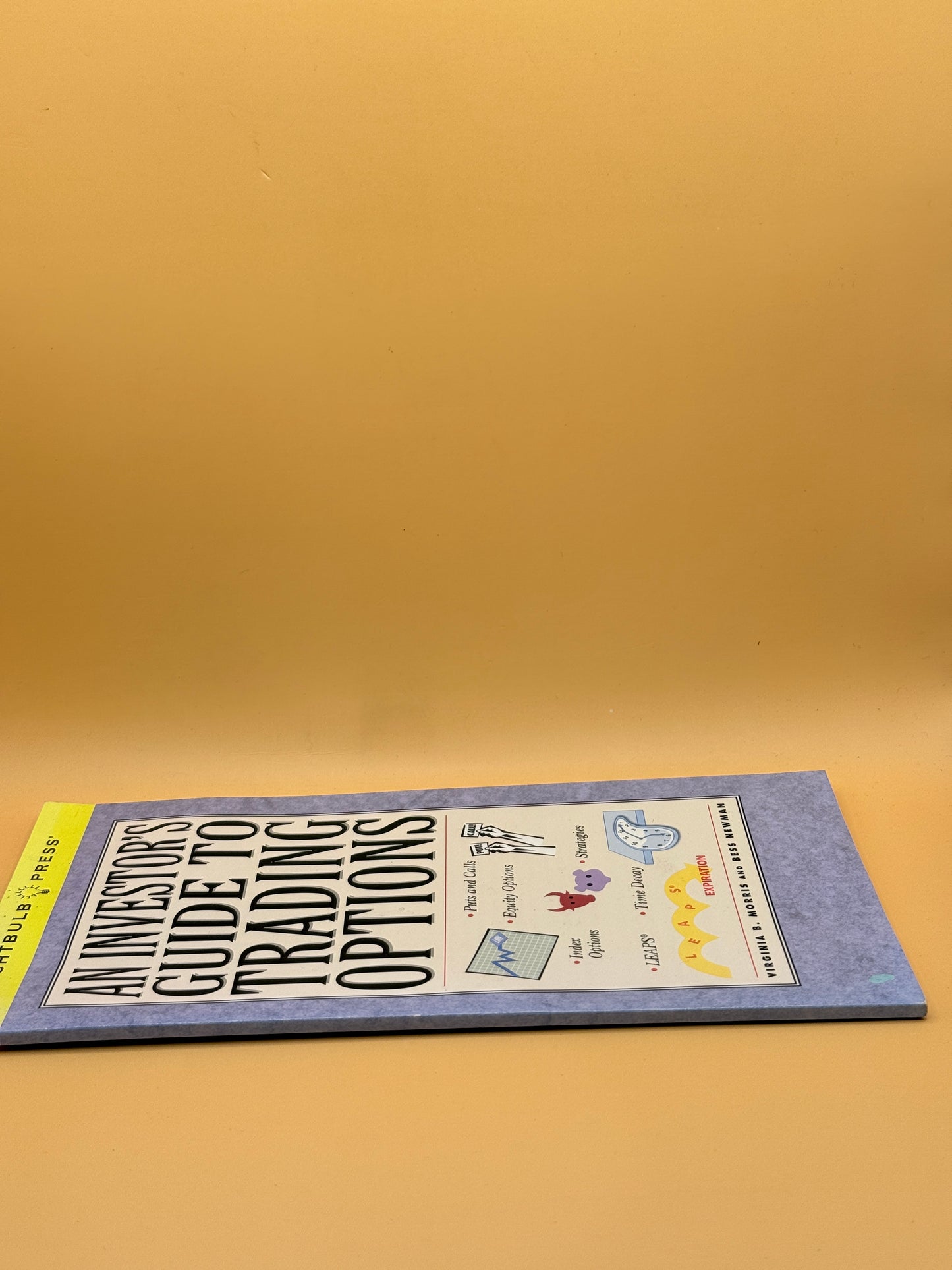 An Investor's Guide to Trading Options by Virginia B. Morris and Bess Newman