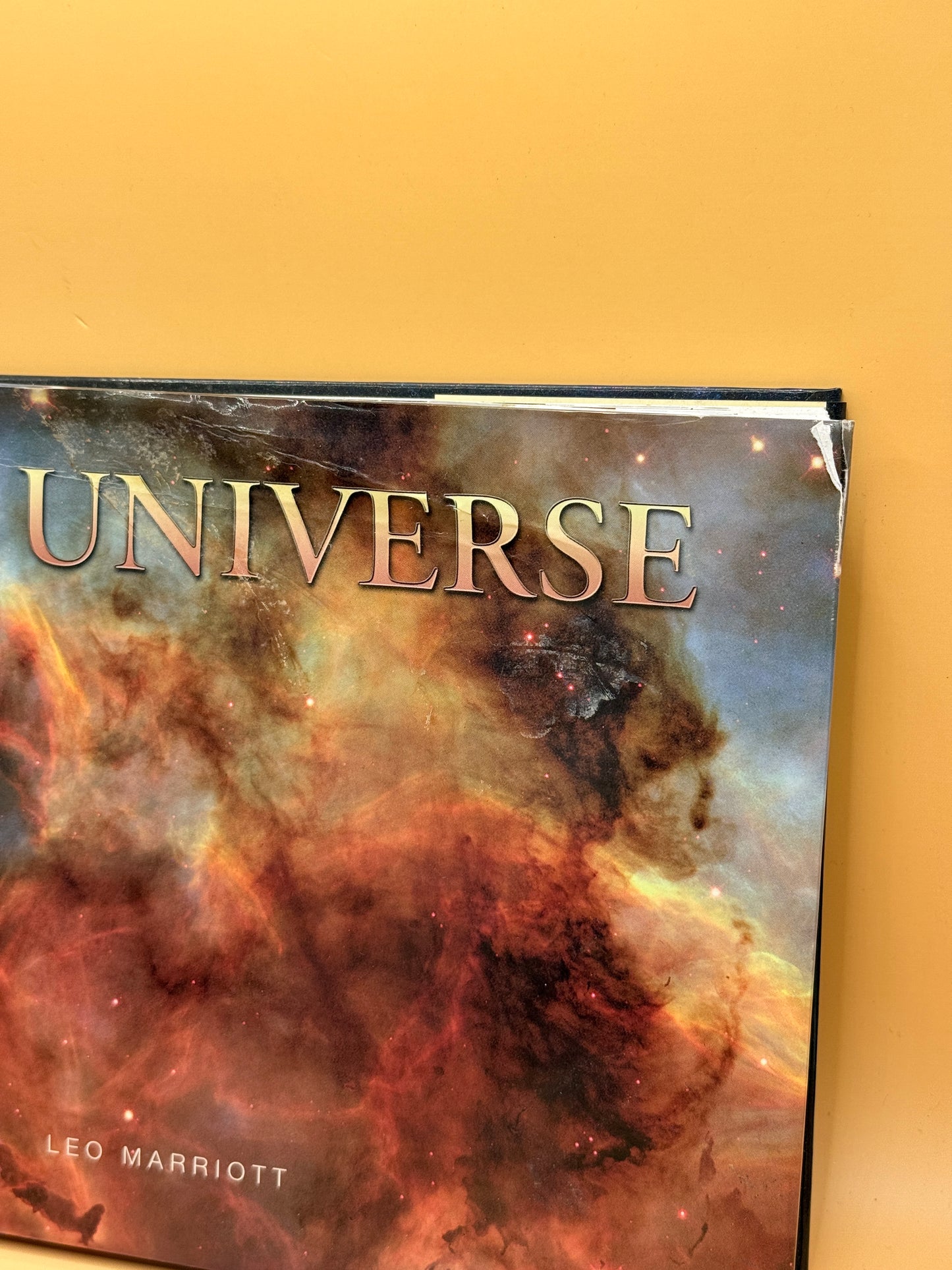The Universe by Leo Marriott